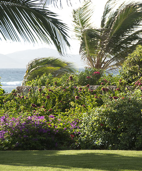 Bed and breakfast in Anguilla - Anguilla - Little Harbour - Inn 321 - 25