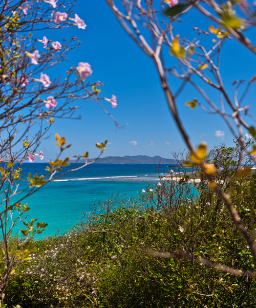 Villa vacacional en alquiler en Anguila - Sandy Hill Bay - Sandy Hill Bay - Villa 353 - 24