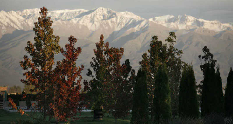 Bed and breakfast in Argentina - Mendoza - Valle de Uco - Inn 262 - 15