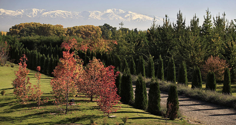 Bed and breakfast in Argentina - Mendoza - Valle de Uco - Inn 262 - 20