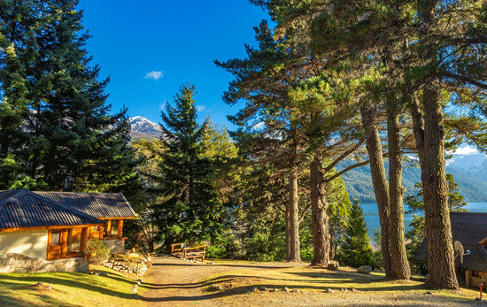Bed and breakfast in Argentina - Bariloche - San Carlos de Bariloche - Inn 524 - 44