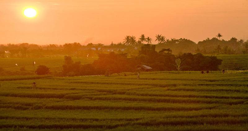 Villa vacacional en alquiler en Bali - Canggu - Canggu - Villa 236 - 14