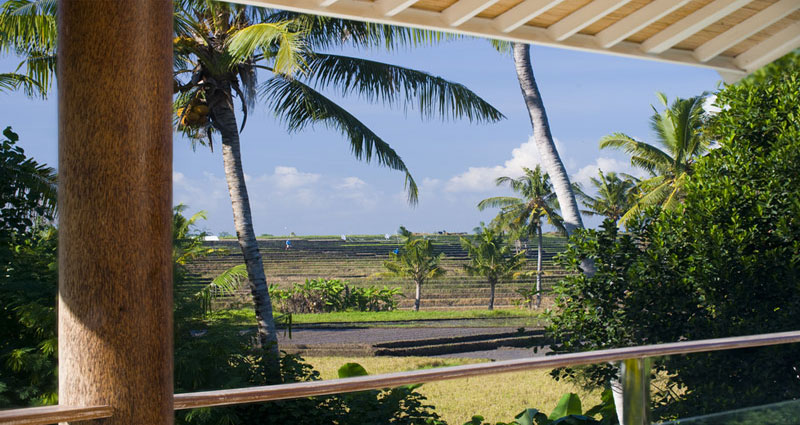 Villa vacacional en alquiler en Bali - Canggu - Canggu - Villa 241 - 14
