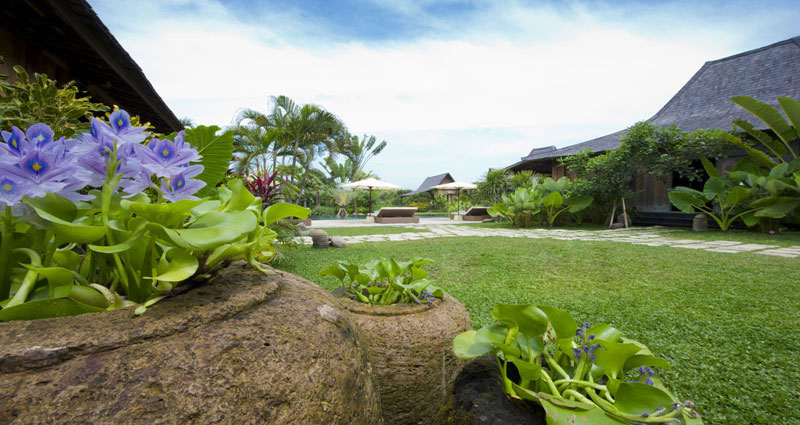 Bed and breakfast in Bali - Canggu - Canggu - Inn 243 - 24