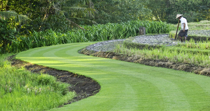 Villa vacacional en alquiler en Bali - Canggu - Canggu - Villa 244 - 4