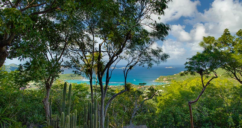 Bed and breakfast in St. Barths - Lurin - Lurin - Inn 394 - 2