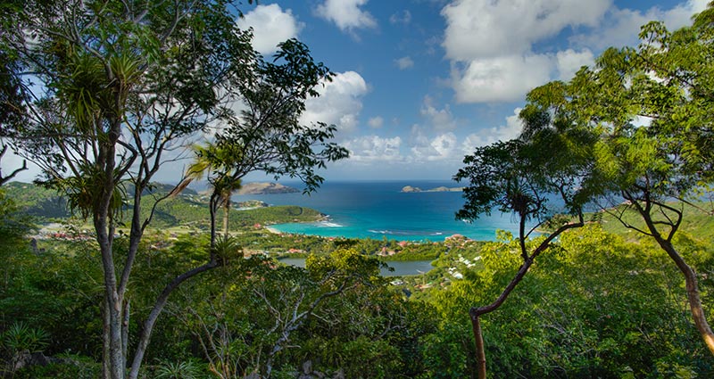 Bed and breakfast in St. Barths - Lurin - Lurin - Inn 394 - 3