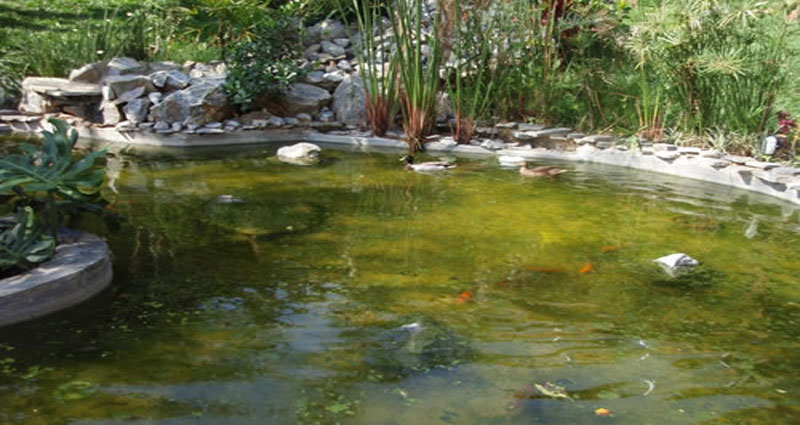 Bed and breakfast in Brazil - Rio de Janeiro - Buzios - Inn 271 - 11