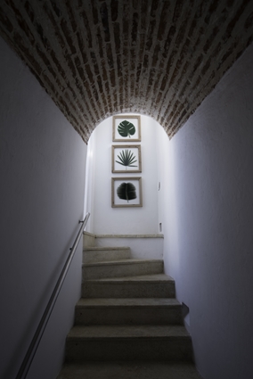 Bed and breakfast in Colombia - Cartagena - Cartagena - Inn 489 - 10