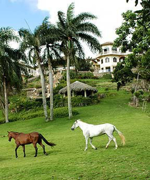 Villa vacacional en alquiler en Rep. Dominicana - Cabrera - Cabrera - Villa 180 - 43