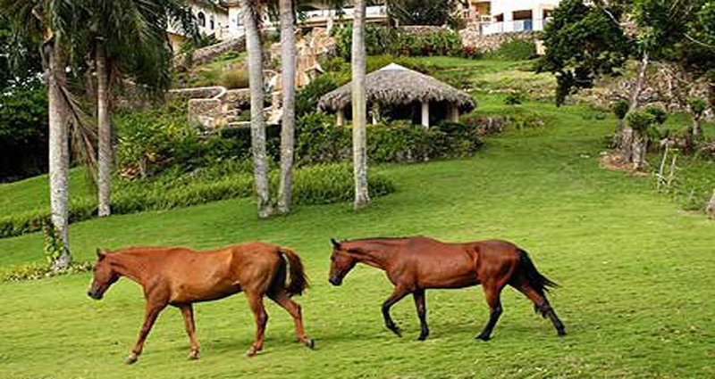 Bed and breakfast in Dominican Rep. - Cabrera - Cabrera - Inn 180 - 44