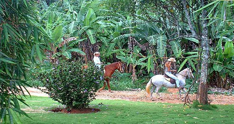 Bed and breakfast in Dominican Rep. - Cabrera - Cabrera - Inn 180 - 37