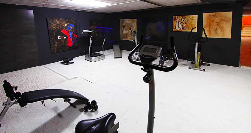 Bed and breakfast in Spain - Mallorca - Santa Maria - Inn 493 - 26