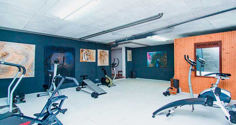 Bed and breakfast in Spain - Mallorca - Santa Maria - Inn 493 - 27