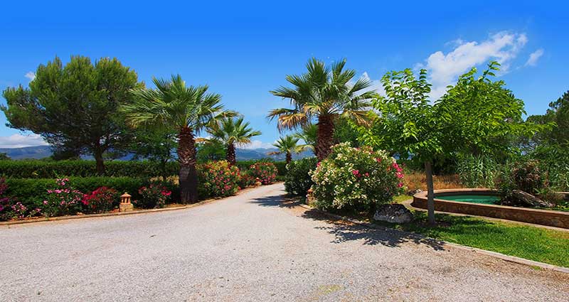 Bed and breakfast in Spain - Mallorca - Santa Maria - Inn 493 - 29