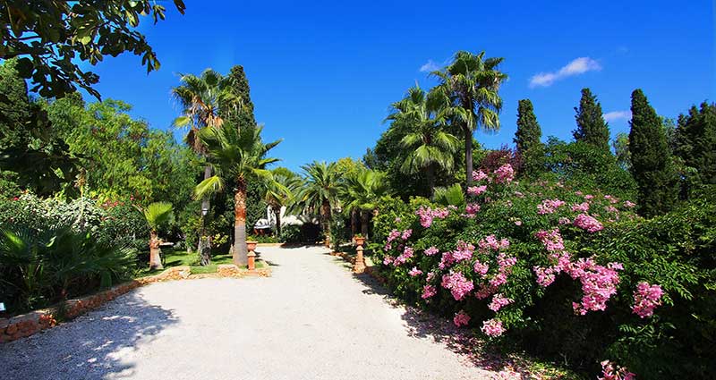 Bed and breakfast in Spain - Mallorca - Binissalem - Inn 494 - 28