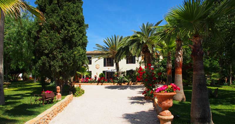 Bed and breakfast in Spain - Mallorca - Binissalem - Inn 494 - 29