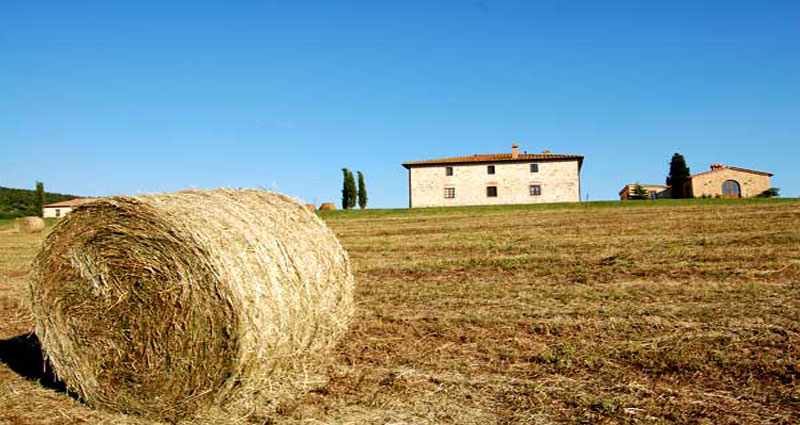 Bed and breakfast in Italy - Tuscany - Pignano - Inn 263 - 10