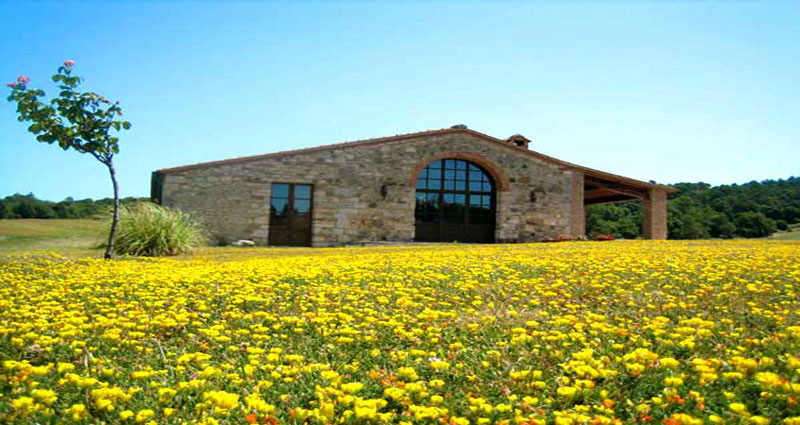 Bed and breakfast in Italy - Tuscany - Pignano - Inn 263 - 21