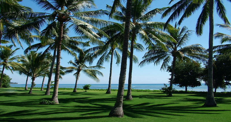 Villa vacacional en alquiler en Lombok - Pantai Sire - Pantai Sire - Villa 224 - 4