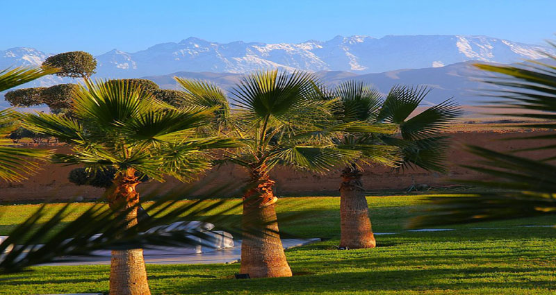 Bed and breakfast in Morocco - Marrakech - Marrakech - Inn 377 - 5