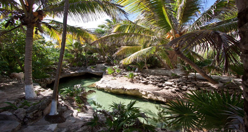 Bed and breakfast in Mexico - Quintana Roo - Mayan Riviera - Inn 115 - 10