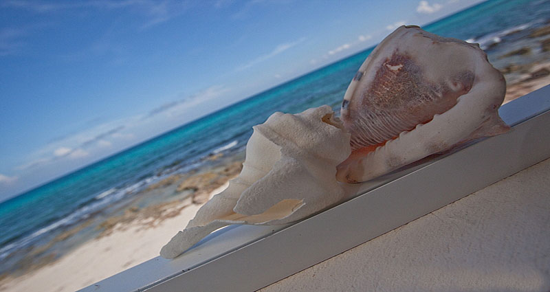 Bed and breakfast in Mexico - Quintana Roo - Mayan Riviera - Inn 115 - 4