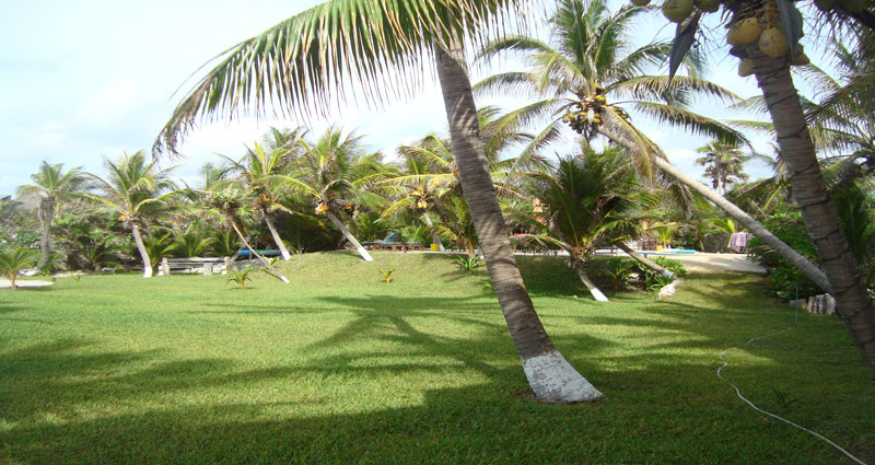 Villa vacacional en alquiler en México - Quintana Roo - Riviera Maya - Villa 115 - 8