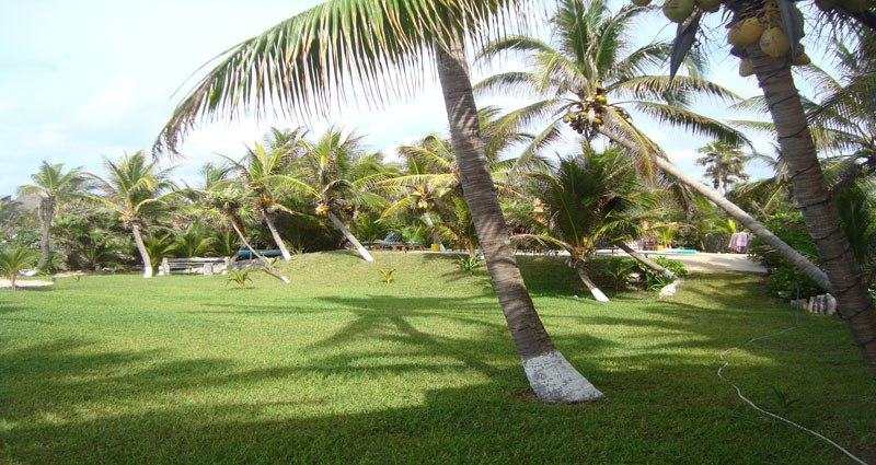 Bed and breakfast in Mexico - Quintana Roo - Mayan Riviera - Inn 115 - 8