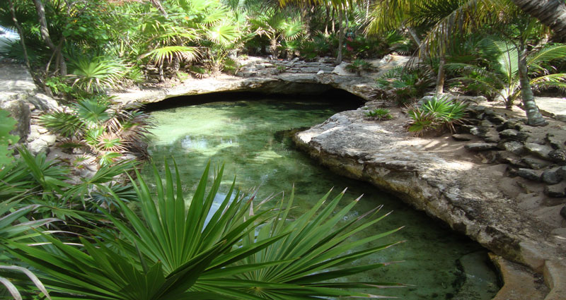 Bed and breakfast in Mexico - Quintana Roo - Mayan Riviera - Inn 115 - 9