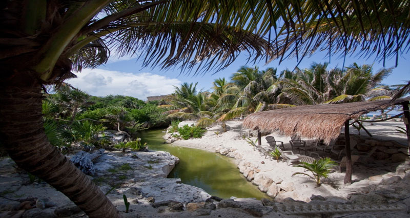 Bed and breakfast in Mexico - Quintana Roo - Mayan Riviera - Inn 115 - 49