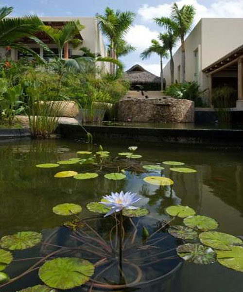 Villa vacacional en alquiler en México - Puerto Vallarta - Punta Mita - Villa 167 - 51