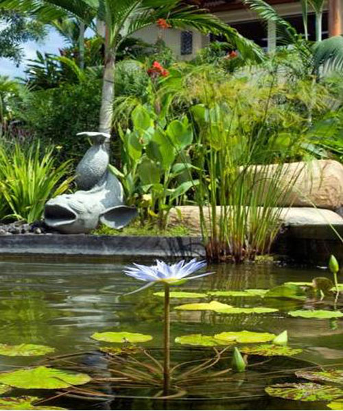 Villa vacacional en alquiler en México - Puerto Vallarta - Punta Mita - Villa 167 - 52