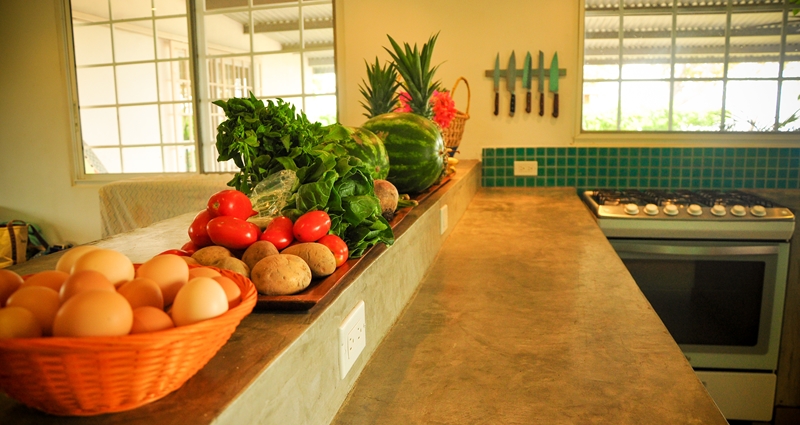 Villa vacacional en alquiler en Panam&aacute; - Panamá - Las Lajas - Villa 482 - 14