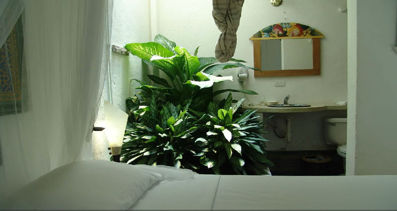 Bed and breakfast in Venezuela - Los Roques - Los Roques - Inn 290 - 7