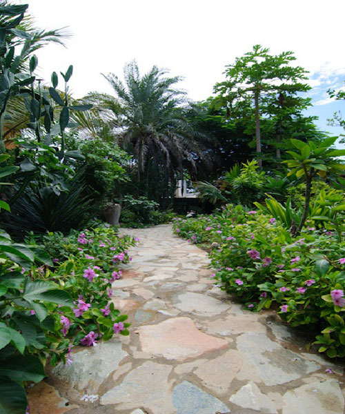Posada en alquiler en Venezuela - Edo. Nueva Esparta - Isla de Margarita - Posada 299 - 40