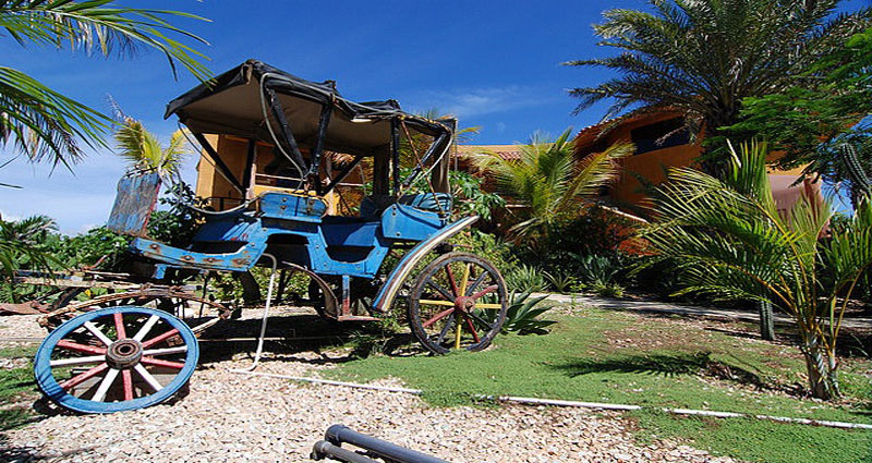Posada en alquiler en Venezuela - Edo. Nueva Esparta - Isla de Margarita - Posada 299 - 41