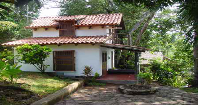 Bed and breakfast in Venezuela - Bolivar - Río Caura - Inn 303 - 17