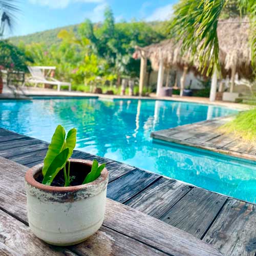 Villa vacacional en alquiler en Venezuela - Edo. Nueva Esparta - Isla de Margarita - Villa 521 - 31