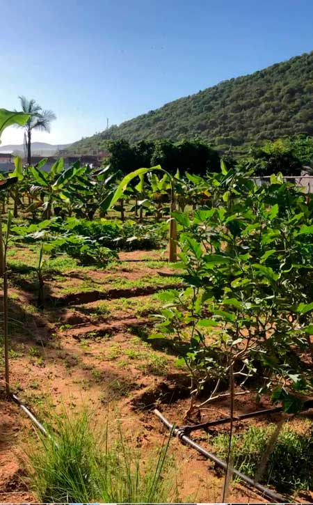 Villa vacacional en alquiler en Venezuela - Edo. Nueva Esparta - Isla de Margarita - Villa 521 - 38