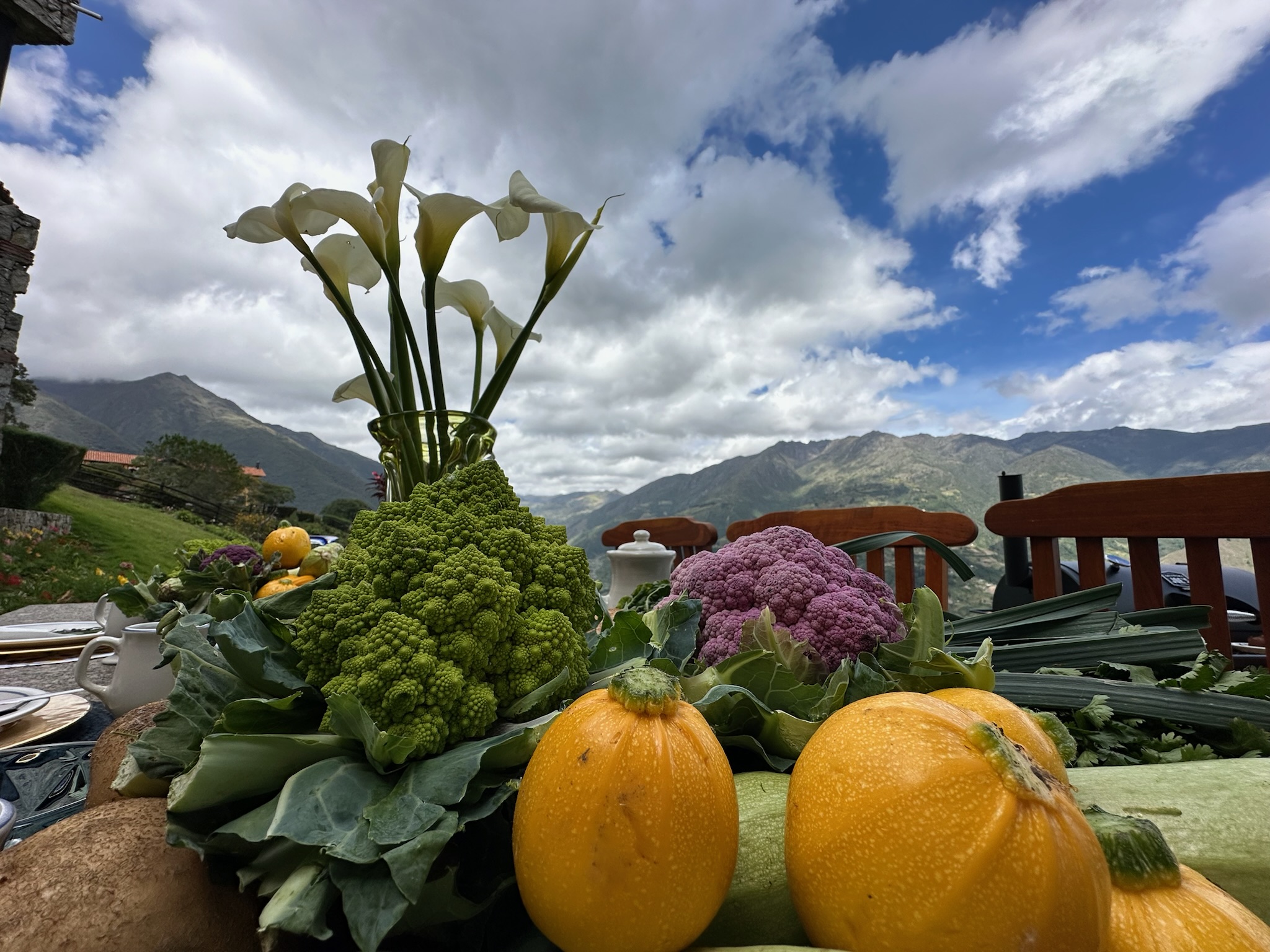 Villa vacacional en alquiler en Venezuela - Merida - Mesa Alta - Villa 537 - 27