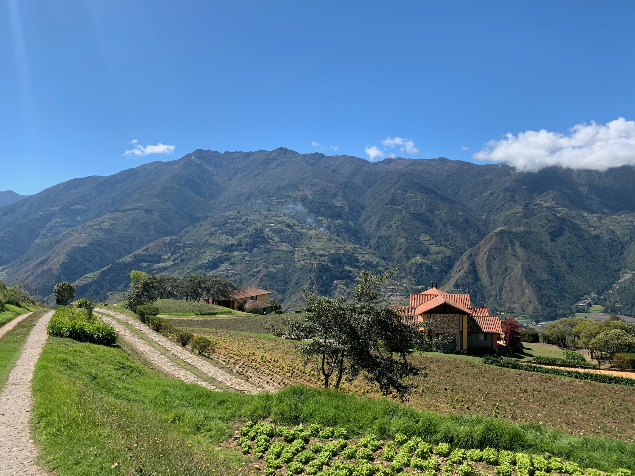 Villa vacacional en alquiler en Venezuela - Merida - Mesa Alta - Villa 537 - 4