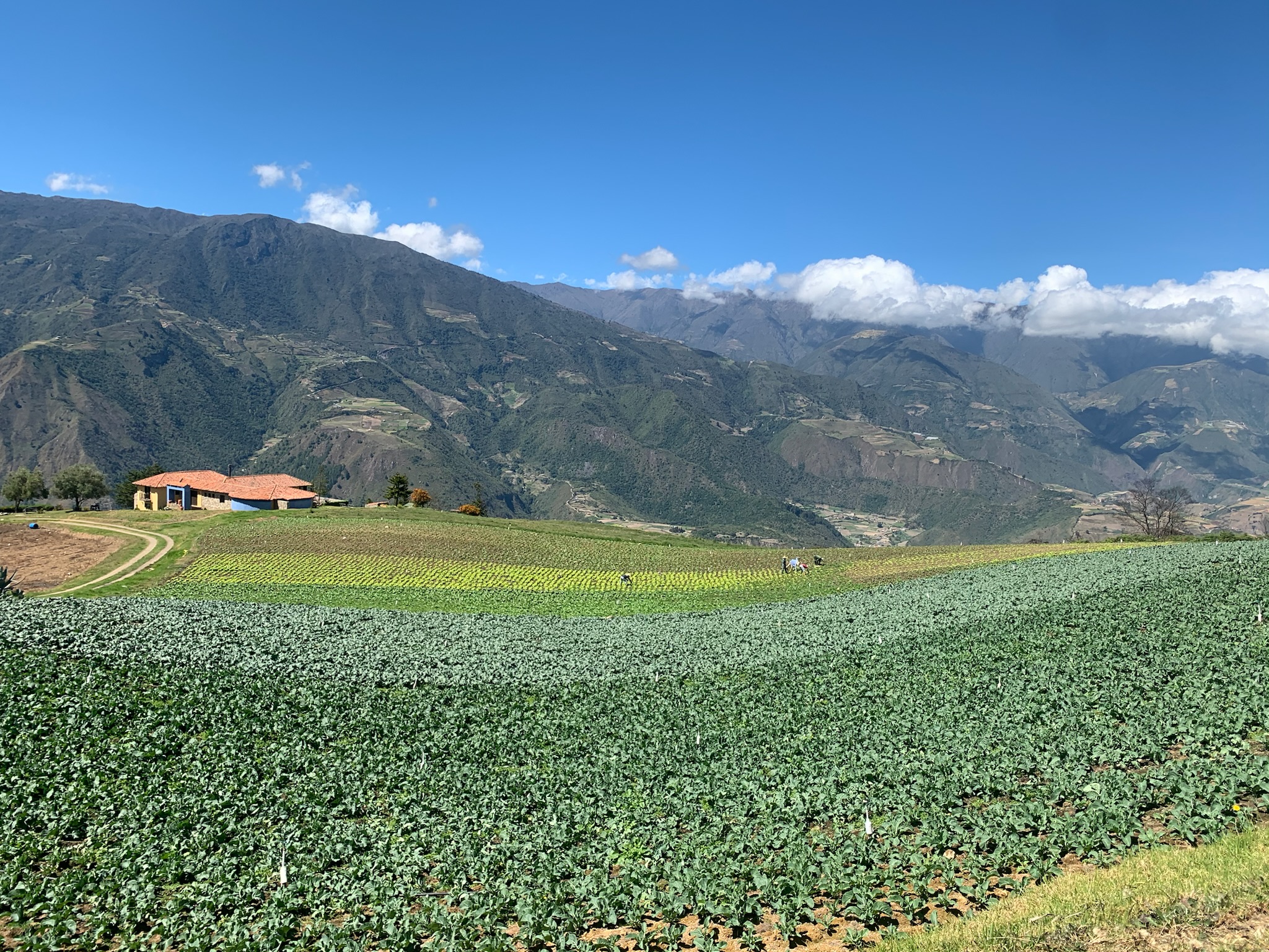 Villa vacacional en alquiler en Venezuela - Merida - Mesa Alta - Villa 537 - 5
