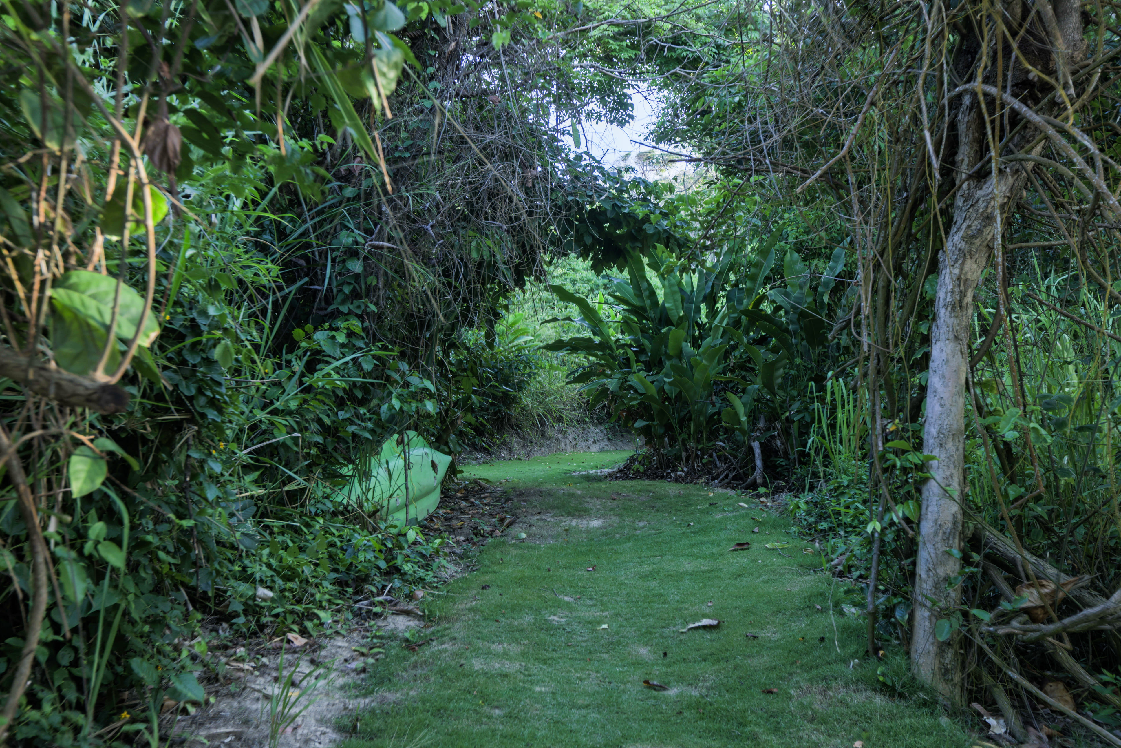 Villa vacacional en alquiler en Venezuela - Edo. La Guaira - La Sabana - Villa 541 - 53