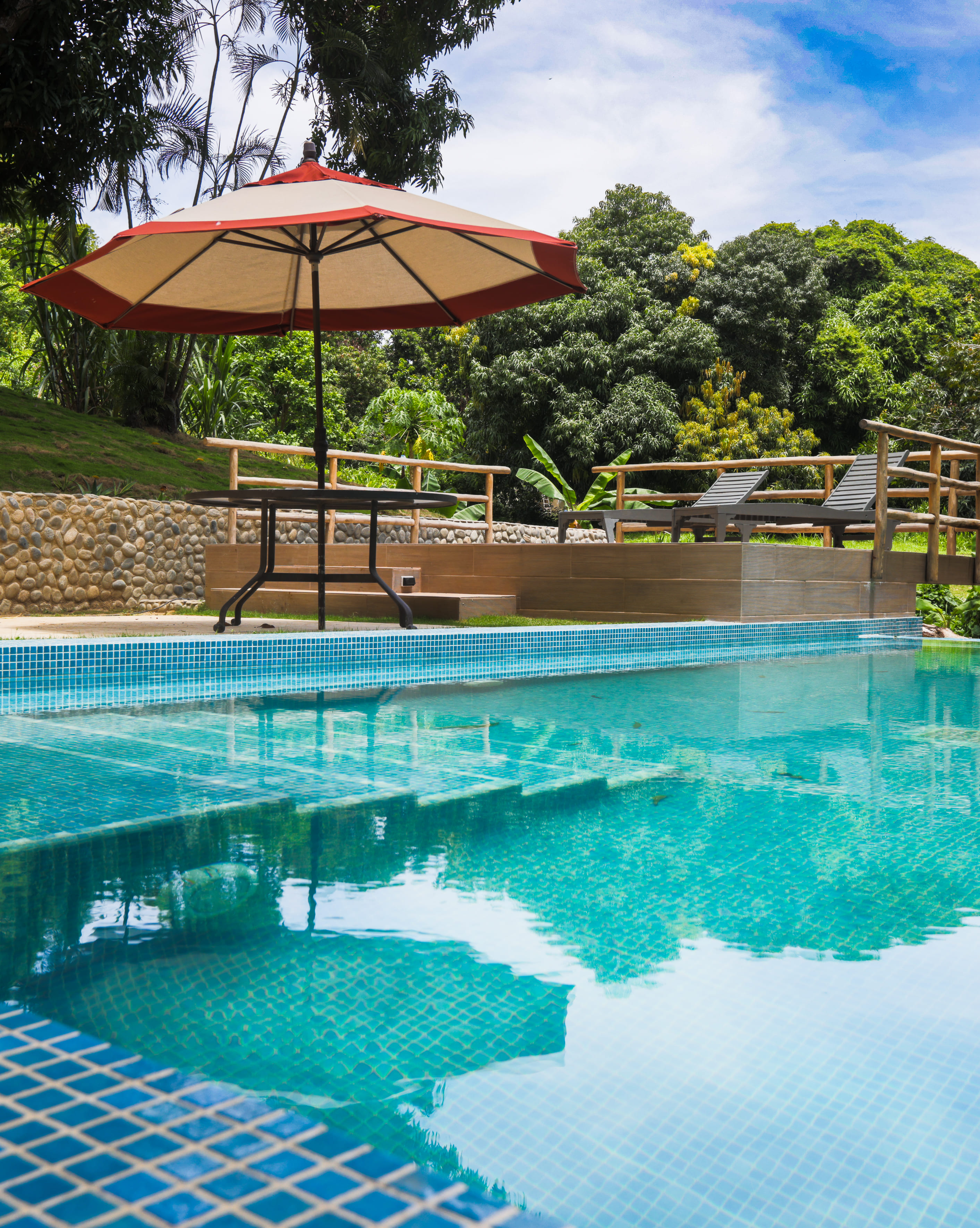 Bed and breakfast in Venezuela - Edo. La Guaira - La Sabana - Inn 543 - 2