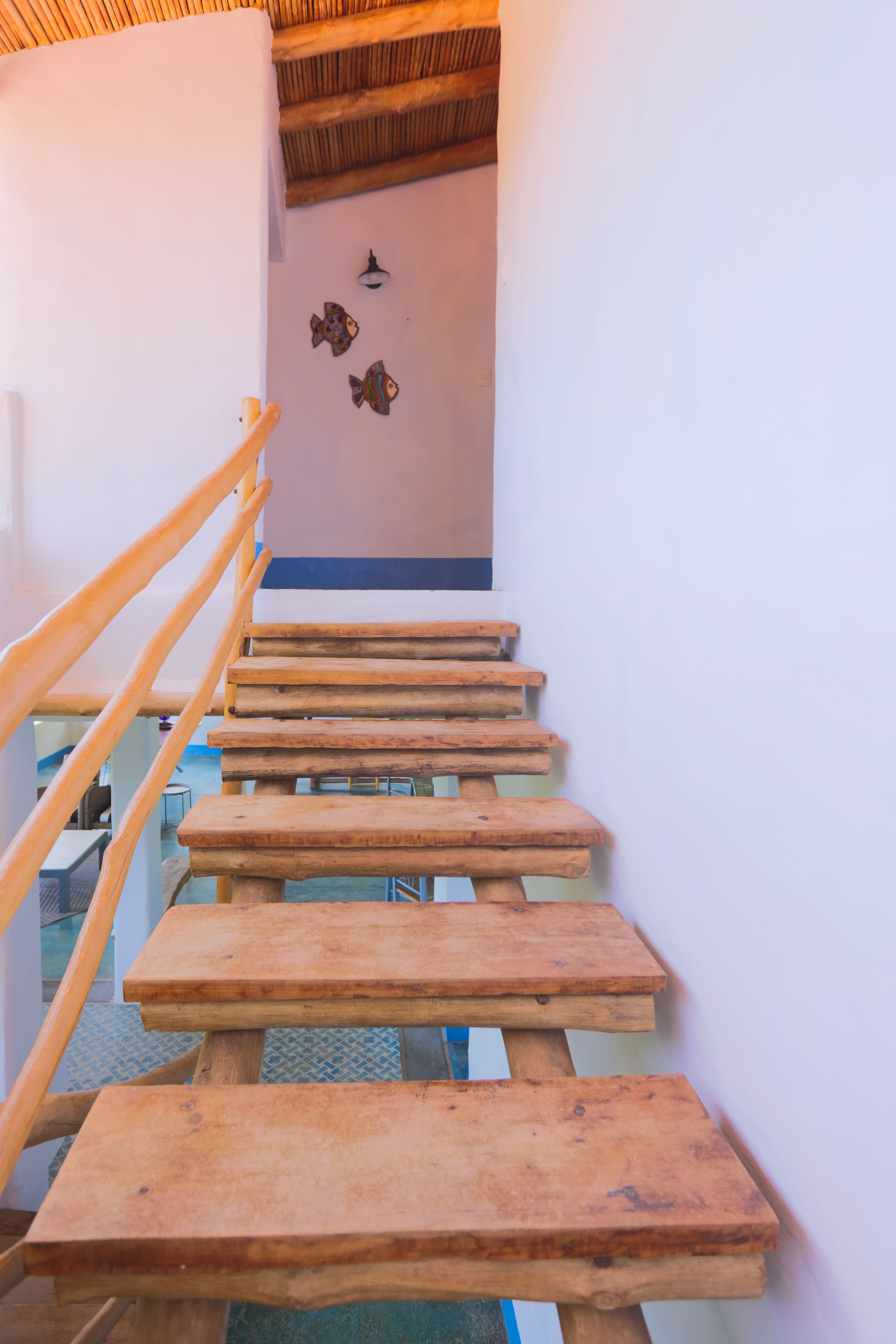 Bed and breakfast in Venezuela - Edo. La Guaira - La Sabana - Inn 543 - 22