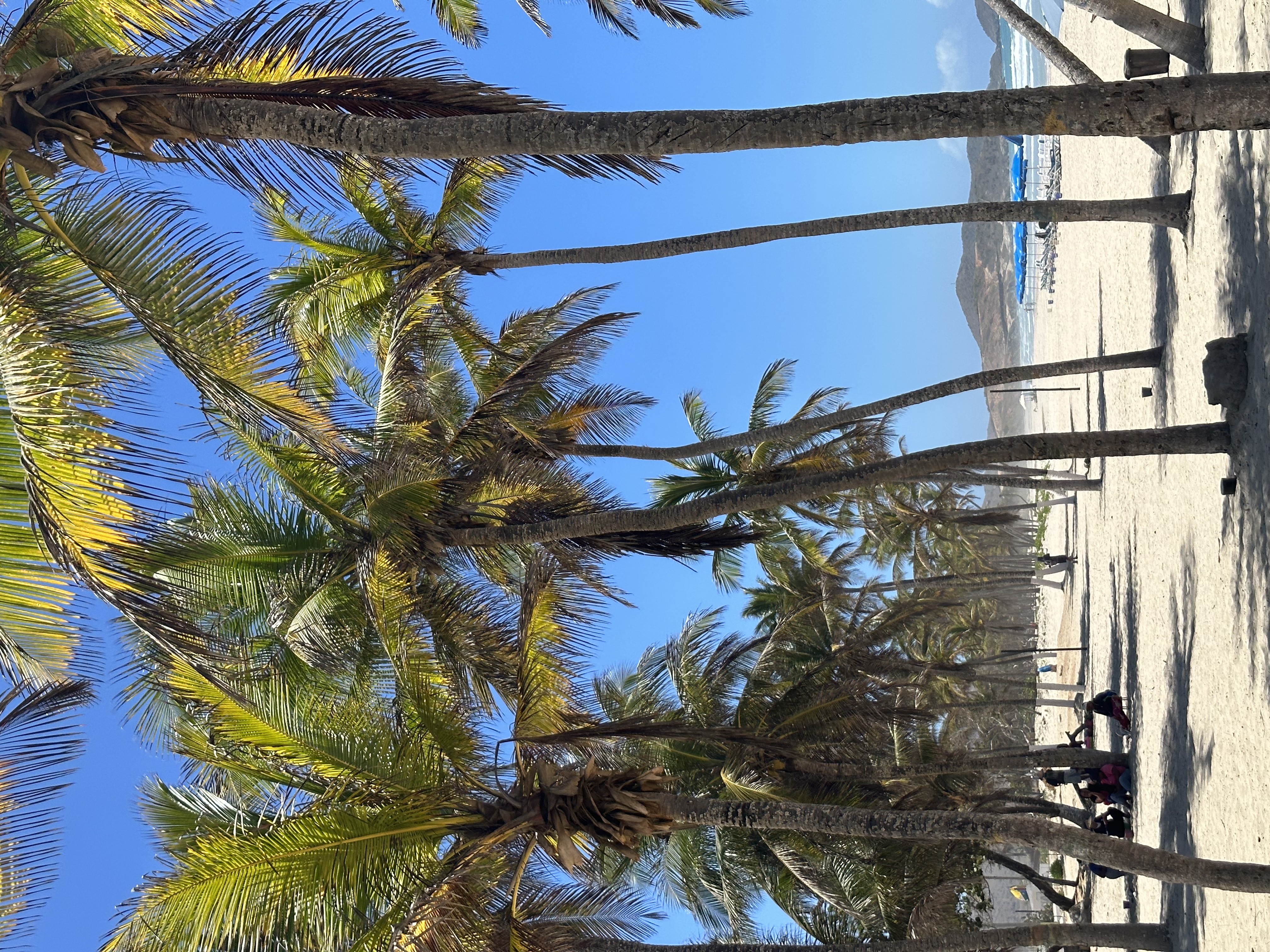 Villa vacacional en alquiler en Venezuela - Edo. Nueva Esparta - Isla de Margarita - Villa 545 - 10