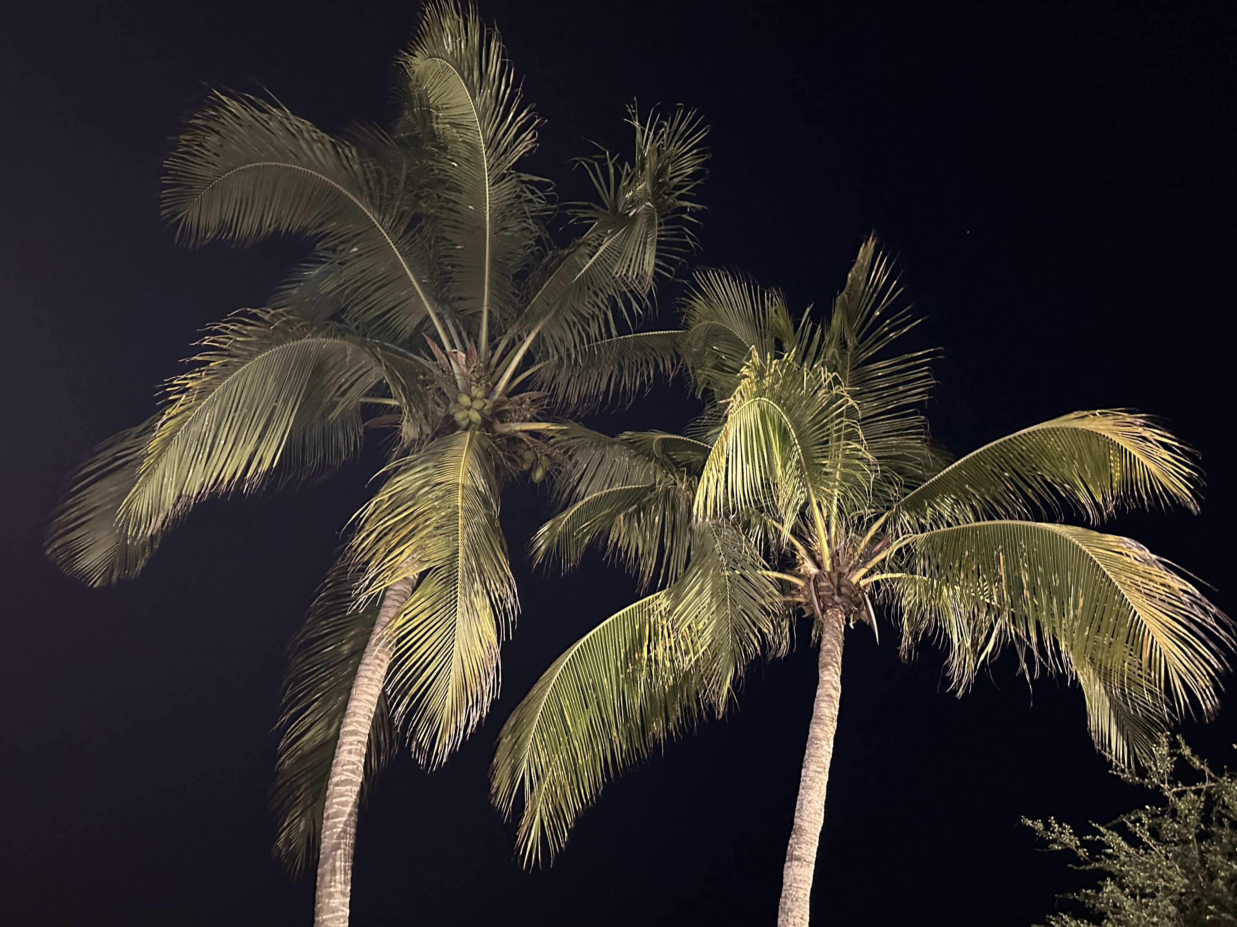 Villa vacacional en alquiler en Venezuela - Edo. Nueva Esparta - Isla de Margarita - Villa 545 - 7