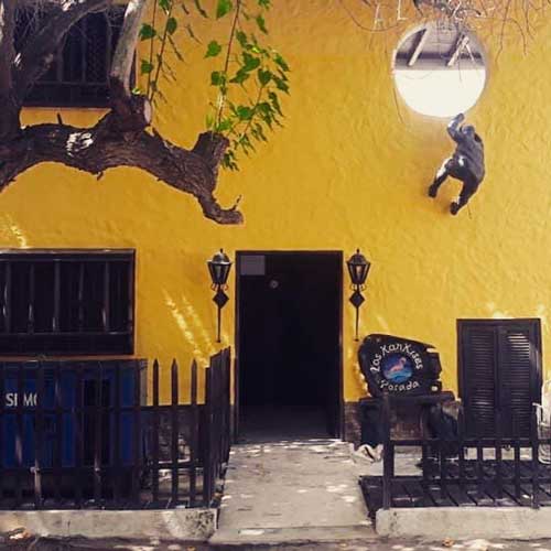 Bed and breakfast in Venezuela - Los Roques - Los Roques - Inn 56 - 2